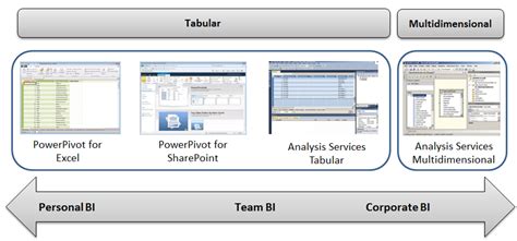 Decisions: PowerPivot, SSAS Tabular, or SSAS Multidimensional Model in ...