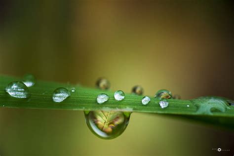 fall behind by MarcosRodriguez on DeviantArt