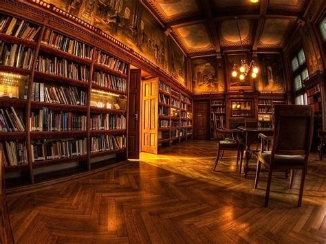 Library Interior, book shelves, read, study, ancient, manuscript, books, book, HD wallpaper | Peakpx