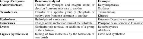 Classification of enzyme according to its application | Download Scientific Diagram