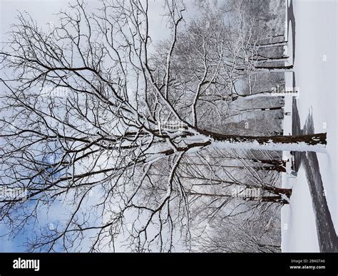 Winter in the city park Stock Photo - Alamy