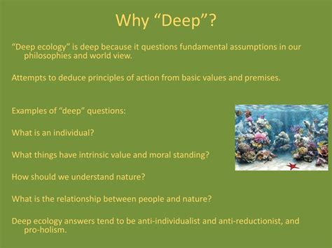 PPT - Deep Ecology PowerPoint Presentation, free download - ID:844434