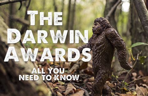 The Darwin Awards: Everything You Need to Know | TalkDeath