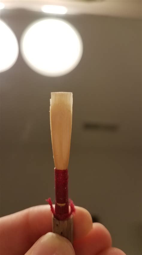 The Structure of an Oboe Reed - Northwoods Oboe