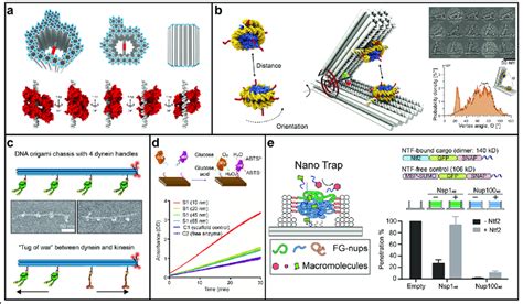 Manipulating biomolecules with DNA origami scaffolds. a A DNA origami ...