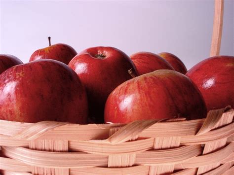 basket of apples 3 Free Photo Download | FreeImages