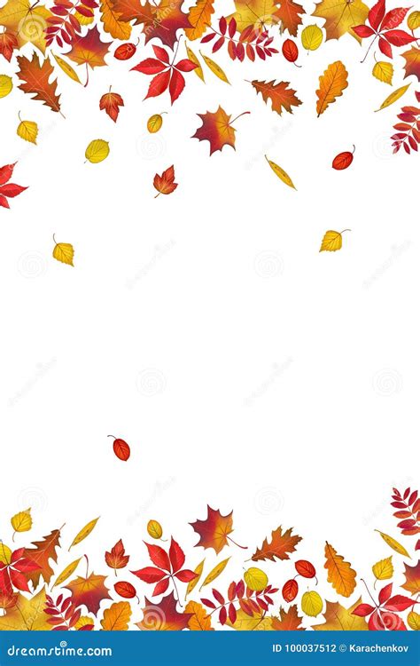 Autumn Leaves Border Isolated on White Background Stock Vector ...