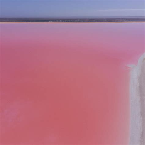 Pink Lake Water: Nature's Phenomenon - TooLacks