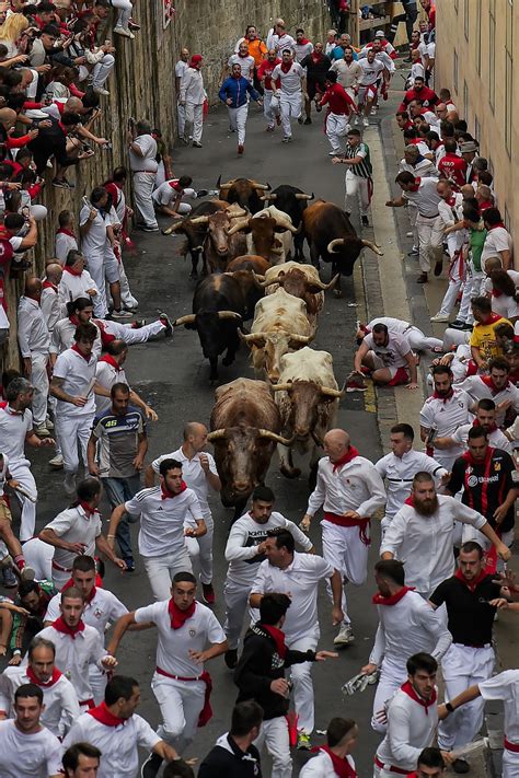 Tourists flock to run with bulls | The Arkansas Democrat-Gazette - Arkansas' Best News Source