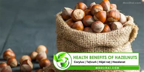 28 Possible Benefits of Hazelnuts For Health, Skin, & Hair