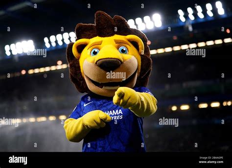 Chelsea's mascot Stamford The Lion Stock Photo - Alamy