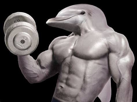 Dolphin Muscles