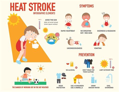 sinais e sintomas de risco de insolação e infográfico de prevenção 3240040 Vetor no Vecteezy