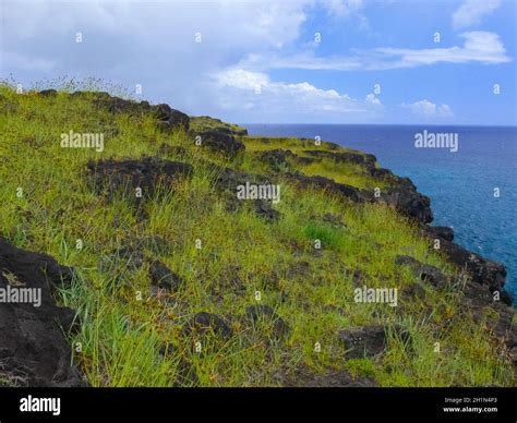 The nature of Easter Island, landscape, vegetation and coast Stock ...