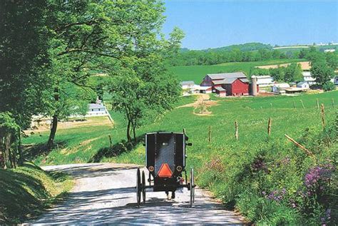 Amish Buggy Near Berlin, Ohio