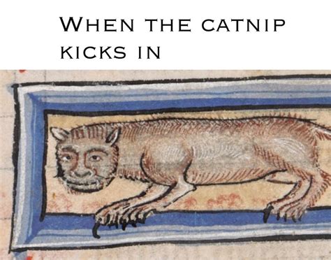 Medieval cat paintings are the new beve. : memes