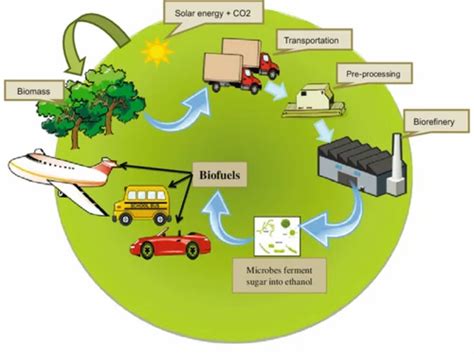 Fuel Ethanol Process Plant, 100, Capacity: 1 at Rs 50 in Noida | ID: 27138355162