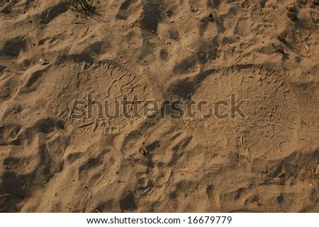 African Elephant Footprint Stock Photo 16679779 : Shutterstock