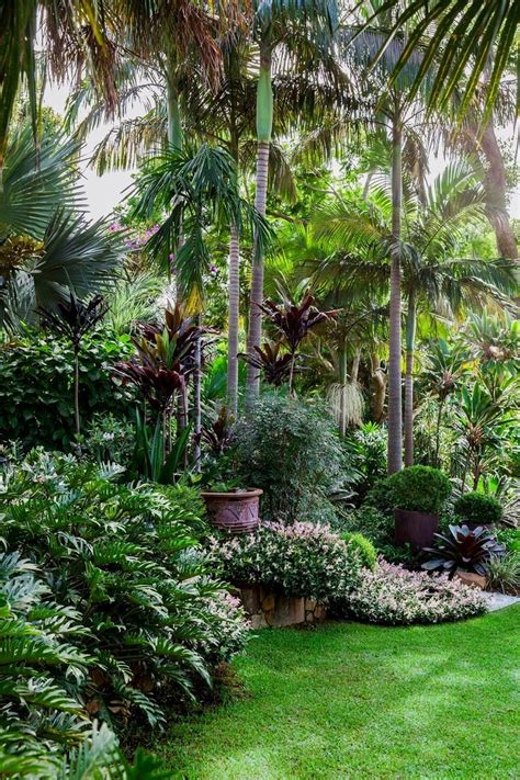 Pin by Anthony Brille on What our followers pin! | Tropical backyard landscaping, Tropical ...