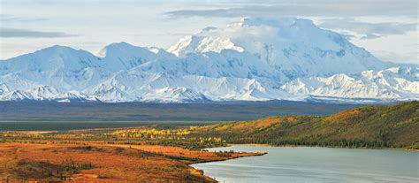 Alaska Private Guided Tours: Denali Backcountry & Anchorage | National ...