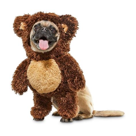 Bootique Teddy Bear Dog Costume, X-Small | Petco in 2020 | Teddy bear ...