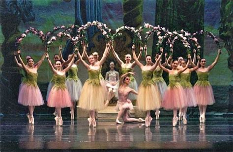 Pin by Liza Dinata on CORPS DE BALLET | Nutcracker costumes, Nutcracker ...