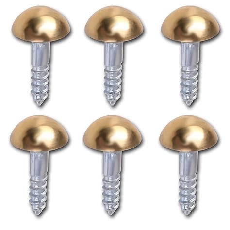 6X Brass Domed Cap Mirror Screws - 8mm x 3/4": Amazon.co.uk: DIY & Tools