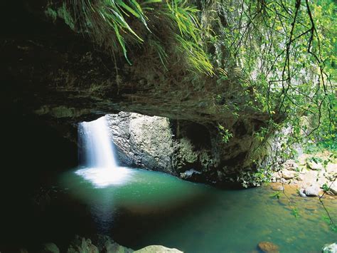 Natural Bridge, Springbrook National Park | Destination Gold Coast