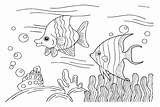 Angelfish Coloring Pages Cartoon Angel Fish Page  sketch template