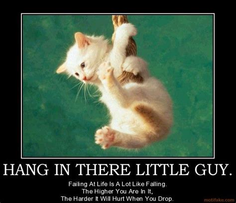 Hang in There Motivational Poster | HANG IN THERE LITTLE GUY. - Failing ...