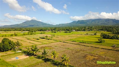 Calumpang Naval - Biliran Island