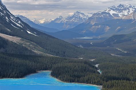 Spectacular Views of Peyto Glacier and Peyto Lake - The GateThe Gate