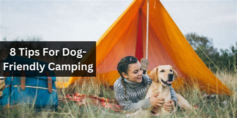 8 Tips For Dog-Friendly Camping