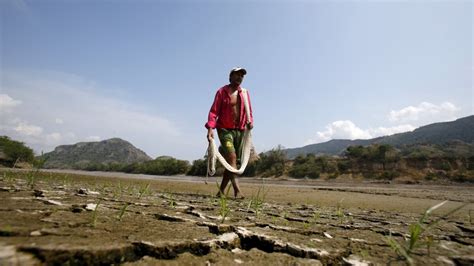 El Nino Climate Pattern Now Underway, NOAA Reports