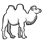 llama vector illustration | Free SVG