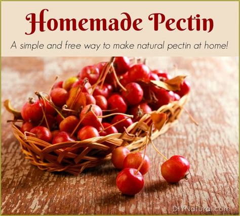 Homemade Pectin: It's Easy to Make, It's Natural, and It's Free!