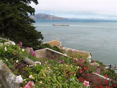 Gardens flourish on Alcatraz - the rock has bloomed for over 100 years