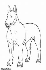 Bull Terrier Full Body coloring Page sketch template