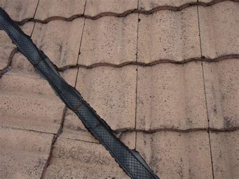 Leaf Guard Installation – Gold Coast Roof Repairs