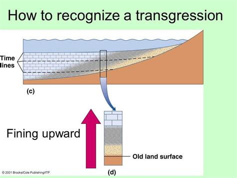 How to Identify Transgression and Regression in a Sedimentary Outcrop?