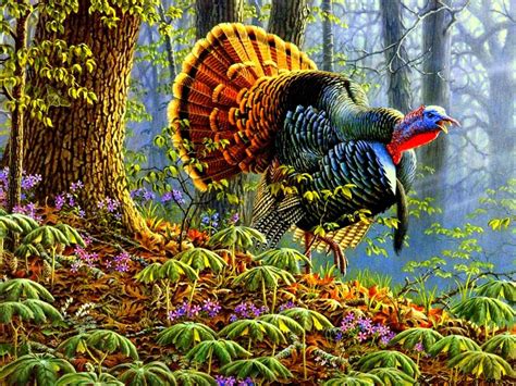Turkey Hunting Background