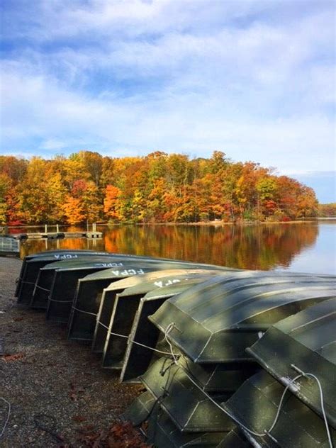 Camping at Burke Lake Park: Everything You Need to Know Before You Go