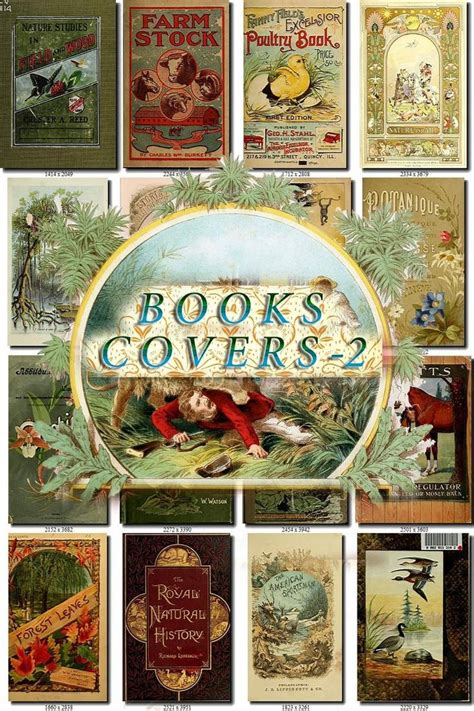 BOOKS COVERS-2 Collection of 115 vintage images High | Etsy | Book cover, Vintage images ...