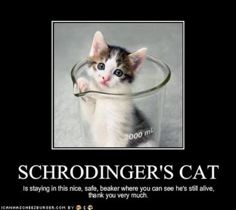 [Image - 344690] | Schrodinger's Cat | Know Your Meme