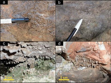 Siliceous speleothems in a tafone. a-d) Coralloid, popcorn and ...