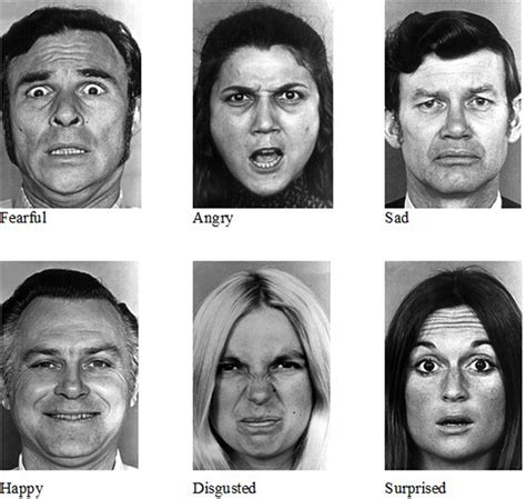 Development Of Facial Expressions - fasrplace