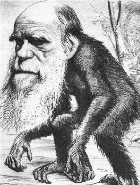 Top Ten Scientific Facts : Evolution is False and Impossible – The ...