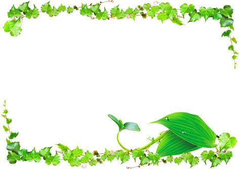 Vines clipart leaf vine, Vines leaf vine Transparent FREE for download on WebStockReview 2023