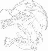 Wyvern Template Sketch Coloring Page sketch template