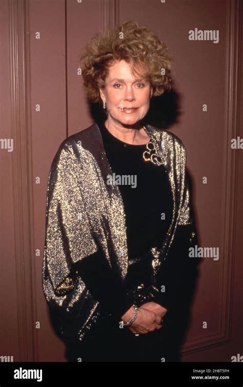 Elizabeth Montgomery 1990 Credit: Ralph Dominguez/MediaPunch Stock Photo - Alamy